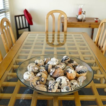 Summer Place B&B Agulhas Esterno foto